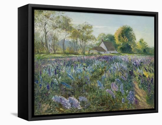 October Delphiniums-Timothy Easton-Framed Premier Image Canvas