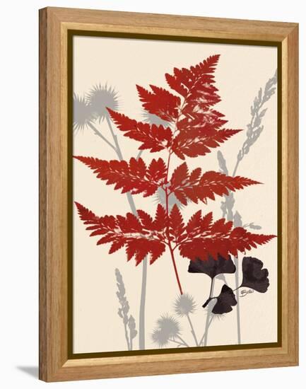 October Fern 1-Bella Dos Santos-Framed Stretched Canvas