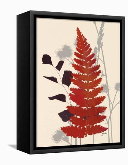 October Fern 2-Bella Dos Santos-Framed Stretched Canvas