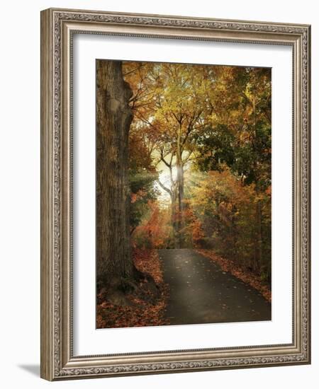 October Finale-Jessica Jenney-Framed Photographic Print