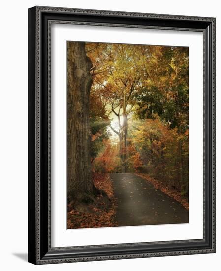 October Finale-Jessica Jenney-Framed Photographic Print