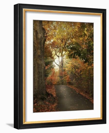 October Finale-Jessica Jenney-Framed Photographic Print