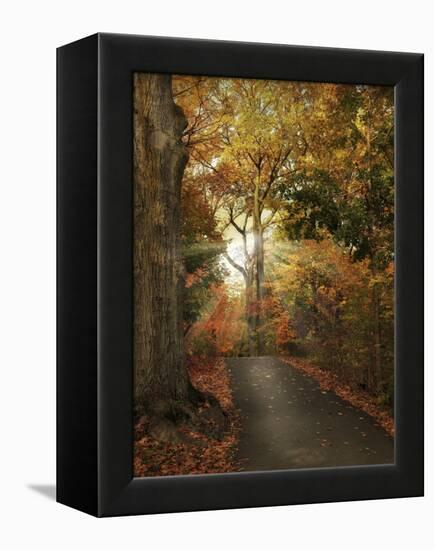 October Finale-Jessica Jenney-Framed Premier Image Canvas