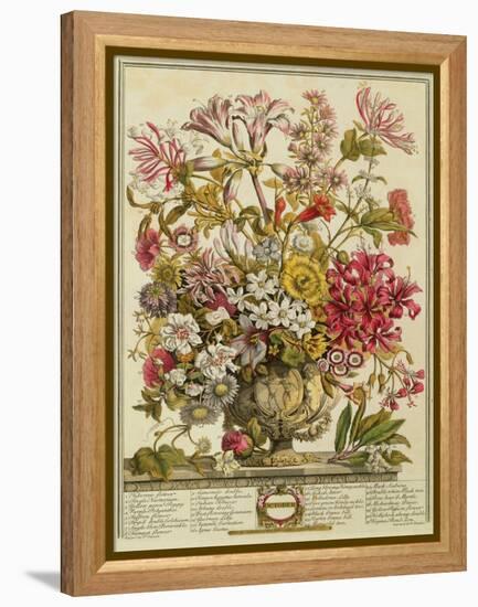 October, from 'twelve Months of Flowers' by Robert Furber (C.1674-1756) Engraved by Henry Fletcher-Pieter Casteels-Framed Premier Image Canvas