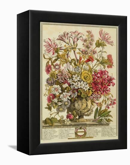 October, from 'twelve Months of Flowers' by Robert Furber (C.1674-1756) Engraved by Henry Fletcher-Pieter Casteels-Framed Premier Image Canvas