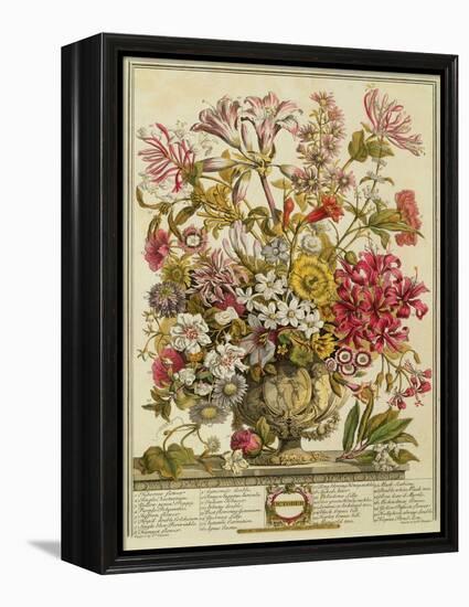 October, from 'twelve Months of Flowers' by Robert Furber (C.1674-1756) Engraved by Henry Fletcher-Pieter Casteels-Framed Premier Image Canvas