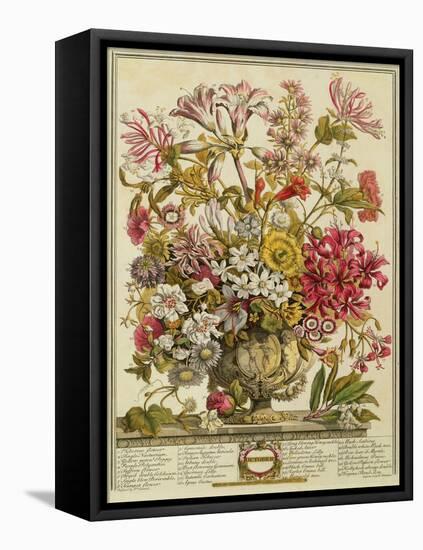 October, from 'twelve Months of Flowers' by Robert Furber (C.1674-1756) Engraved by Henry Fletcher-Pieter Casteels-Framed Premier Image Canvas