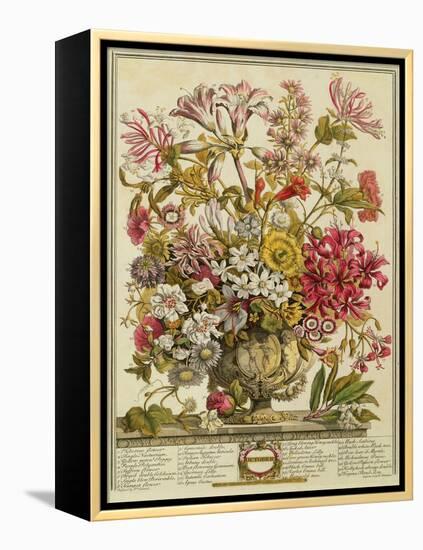 October, from 'twelve Months of Flowers' by Robert Furber (C.1674-1756) Engraved by Henry Fletcher-Pieter Casteels-Framed Premier Image Canvas