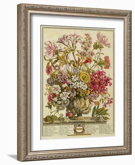 October, from 'twelve Months of Flowers' by Robert Furber (C.1674-1756) Engraved by Henry Fletcher-Pieter Casteels-Framed Giclee Print