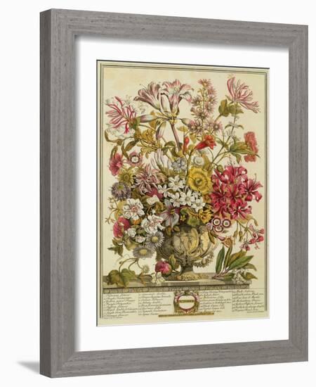 October, from 'twelve Months of Flowers' by Robert Furber (C.1674-1756) Engraved by Henry Fletcher-Pieter Casteels-Framed Giclee Print