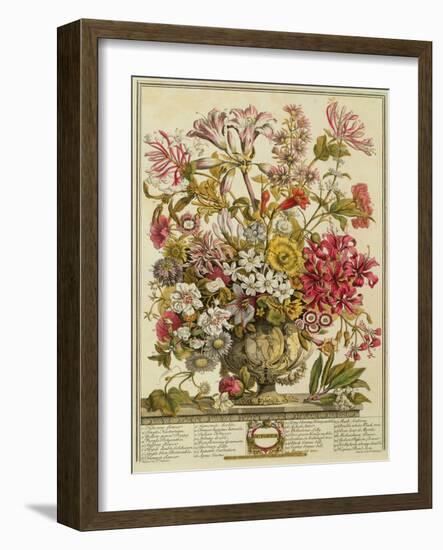 October, from 'twelve Months of Flowers' by Robert Furber (C.1674-1756) Engraved by Henry Fletcher-Pieter Casteels-Framed Giclee Print