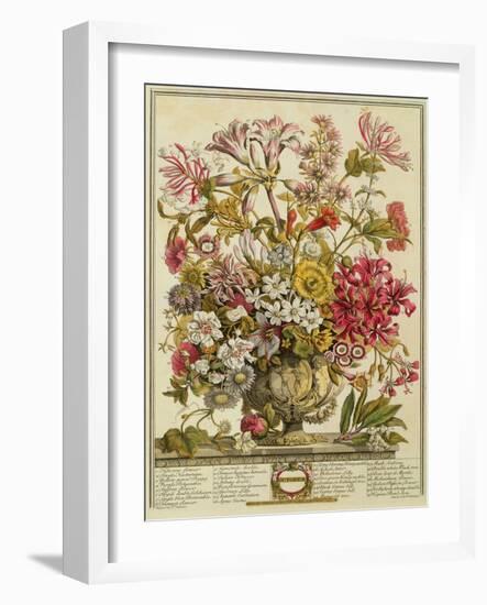 October, from 'twelve Months of Flowers' by Robert Furber (C.1674-1756) Engraved by Henry Fletcher-Pieter Casteels-Framed Giclee Print