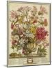 October, from 'twelve Months of Flowers' by Robert Furber (C.1674-1756) Engraved by Henry Fletcher-Pieter Casteels-Mounted Giclee Print