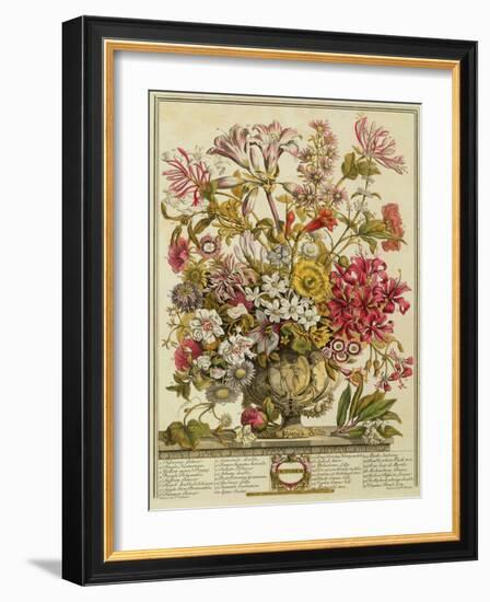 October, from 'twelve Months of Flowers' by Robert Furber (C.1674-1756) Engraved by Henry Fletcher-Pieter Casteels-Framed Giclee Print