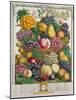 October, from 'Twelve Months of Fruits', by Robert Furber-Pieter Casteels-Mounted Giclee Print