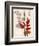 October Leaf 2-Bella Dos Santos-Framed Art Print