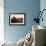October Light-Sebastian Prioteasa-Framed Giclee Print displayed on a wall