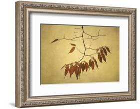 October Muse-David Lorenz Winston-Framed Art Print