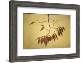 October Muse-David Lorenz Winston-Framed Art Print