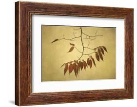 October Muse-David Lorenz Winston-Framed Art Print