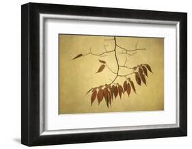 October Muse-David Lorenz Winston-Framed Art Print