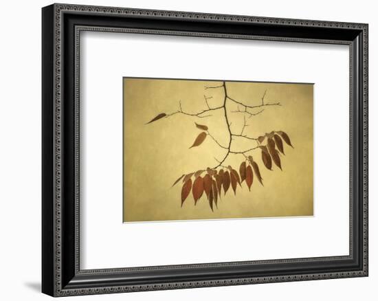 October Muse-David Lorenz Winston-Framed Art Print