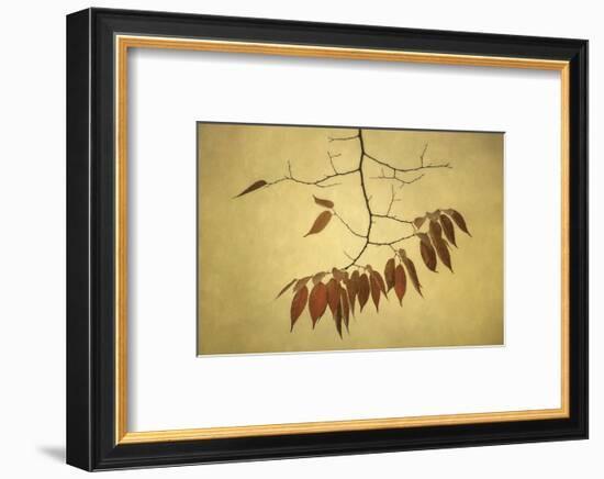 October Muse-David Lorenz Winston-Framed Art Print