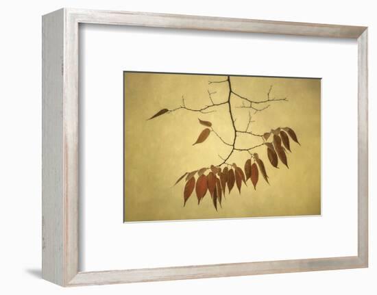 October Muse-David Lorenz Winston-Framed Art Print