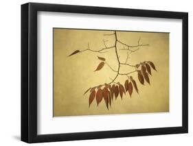 October Muse-David Lorenz Winston-Framed Art Print