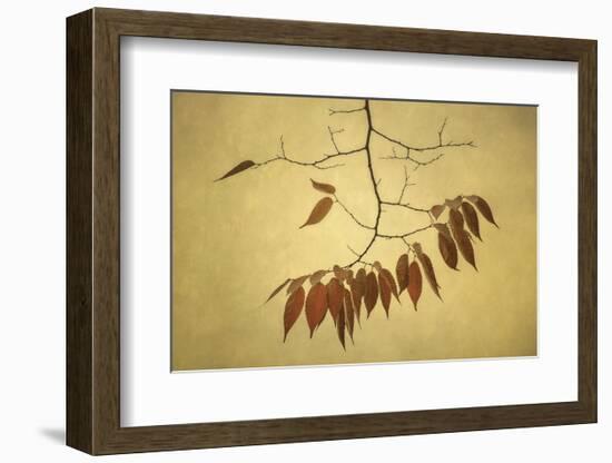 October Muse-David Lorenz Winston-Framed Art Print