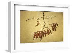 October Muse-David Lorenz Winston-Framed Art Print