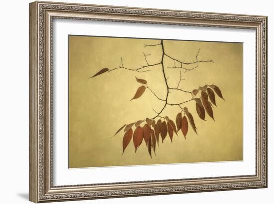 October Muse-David Lorenz Winston-Framed Art Print