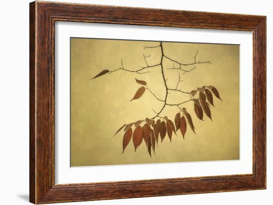 October Muse-David Lorenz Winston-Framed Art Print