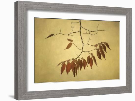 October Muse-David Lorenz Winston-Framed Art Print