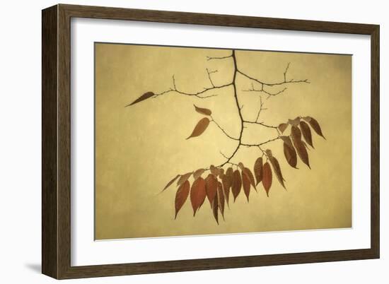 October Muse-David Lorenz Winston-Framed Art Print