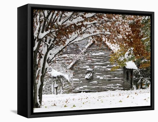 October Snow-Pat Wellenbach-Framed Premier Image Canvas