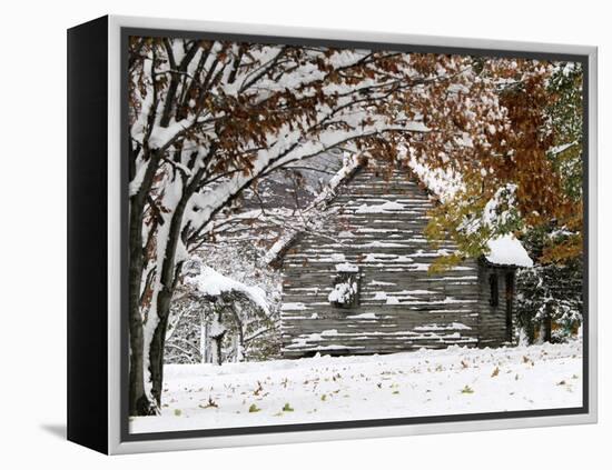 October Snow-Pat Wellenbach-Framed Premier Image Canvas