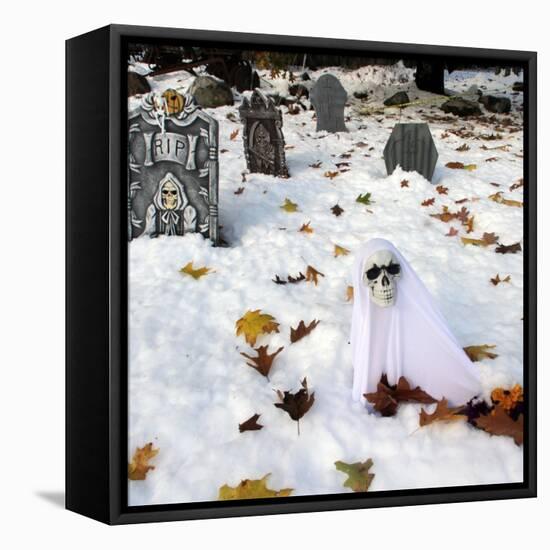 October Snow-Jim Cole-Framed Premier Image Canvas