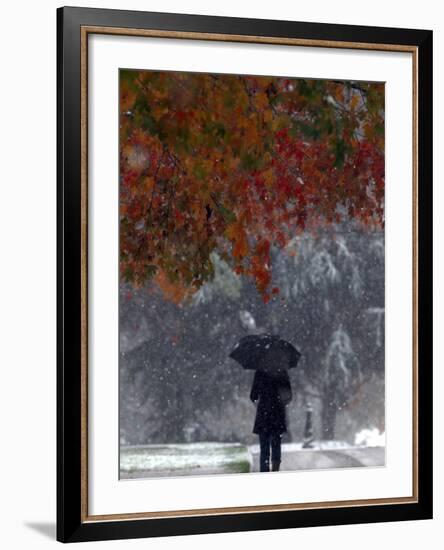 October Snow-Jacqueline Larma-Framed Photographic Print