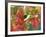 October Snow-Michael Dwyer-Framed Photographic Print