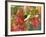 October Snow-Michael Dwyer-Framed Photographic Print