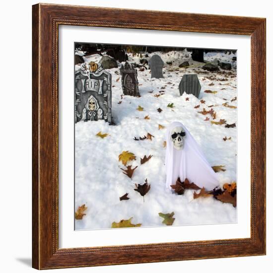 October Snow-Jim Cole-Framed Photographic Print