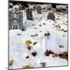 October Snow-Jim Cole-Mounted Photographic Print