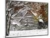 October Snow-Pat Wellenbach-Mounted Photographic Print
