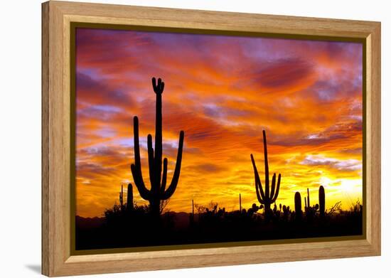 October Sunset-Douglas Taylor-Framed Premier Image Canvas