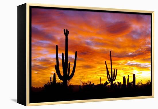 October Sunset-Douglas Taylor-Framed Premier Image Canvas