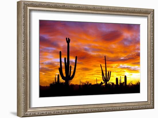 October Sunset-Douglas Taylor-Framed Photographic Print