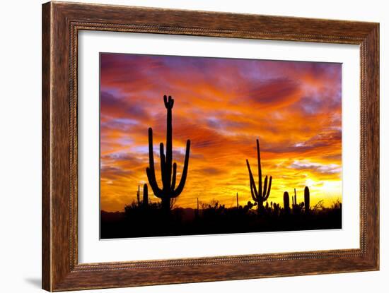 October Sunset-Douglas Taylor-Framed Photographic Print