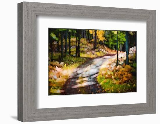 October Walk-Ursula Abresch-Framed Photographic Print