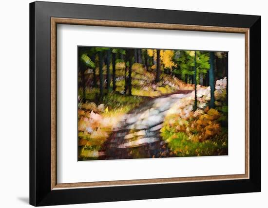 October Walk-Ursula Abresch-Framed Photographic Print